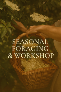 Seasonal Foraging Workshop with Laurie