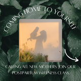 Coming Home To Yourself ~ Postpartum Wellness Class